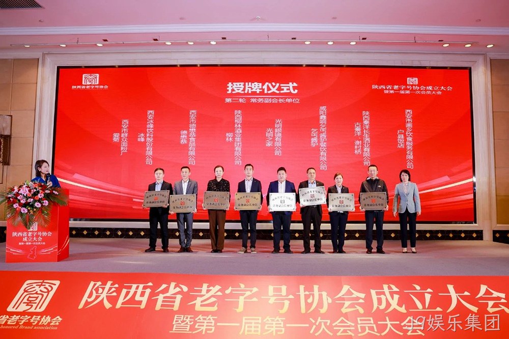 图片12